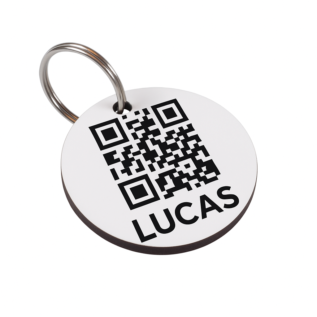 Placa ID Inteligente TailCompass